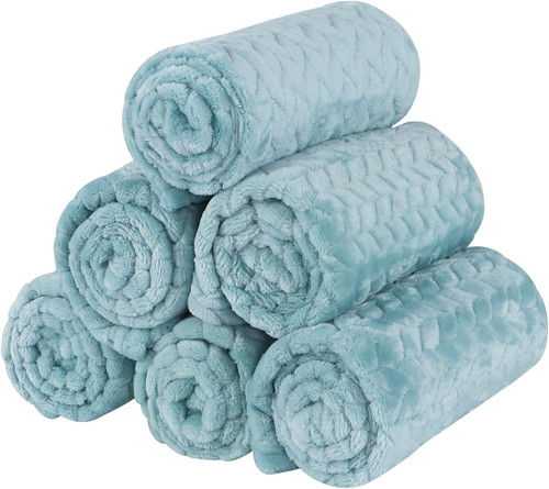 Pack small dog - 6,