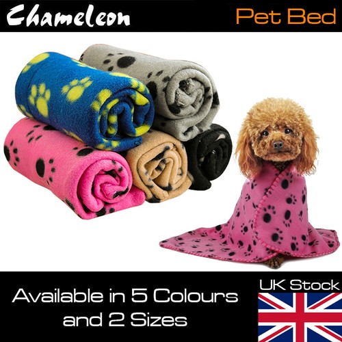 Pet travel carry carrier dog - travel,