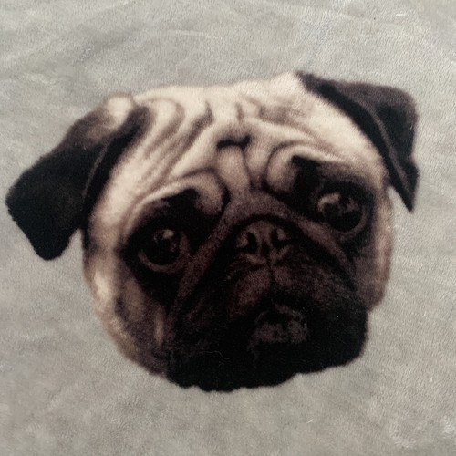 Pug face puppy dog throw - puppy,