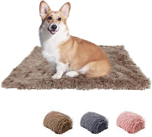 Plush pet blanket - blanket, puppy
